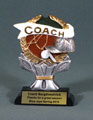 Color resin award for a coach