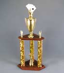 This is a image of a three column champion award with a winning hand of cards at the top